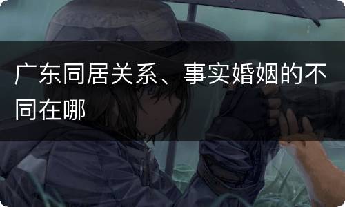 广东同居关系、事实婚姻的不同在哪