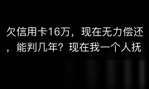 欠信用卡16万，现在无力偿还，能判几年？现在我一个人抚养孩子，判刑后孩子怎么办