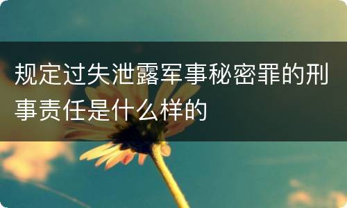 规定过失泄露军事秘密罪的刑事责任是什么样的