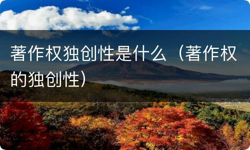 著作权独创性是什么（著作权的独创性）