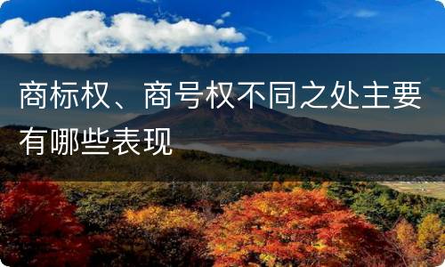 商标权、商号权不同之处主要有哪些表现