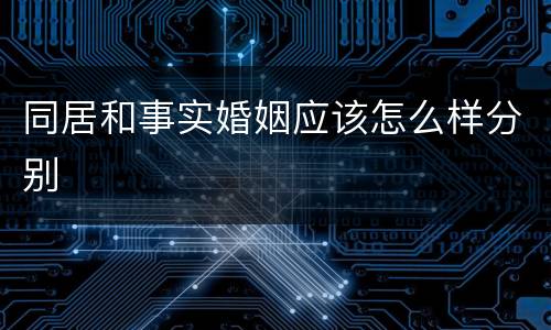 同居和事实婚姻应该怎么样分别