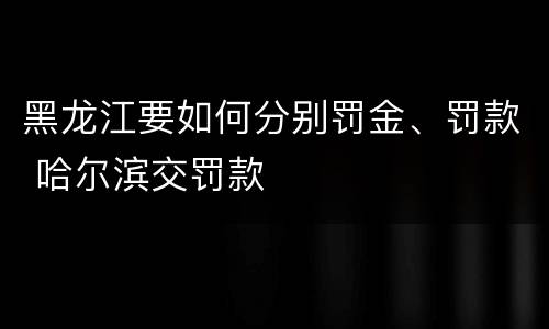 黑龙江要如何分别罚金、罚款 哈尔滨交罚款