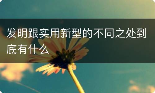 发明跟实用新型的不同之处到底有什么