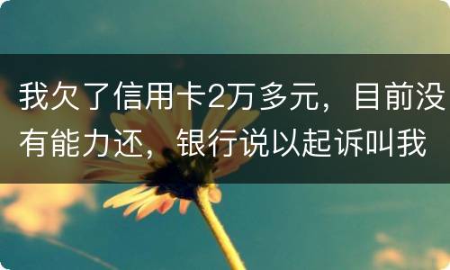 我欠了信用卡2万多元，目前没有能力还，银行说以起诉叫我带上律师费50