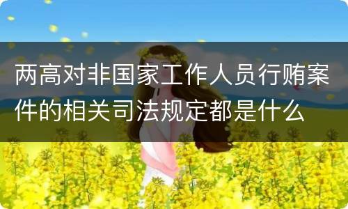 两高对非国家工作人员行贿案件的相关司法规定都是什么
