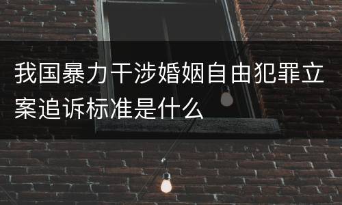 我国暴力干涉婚姻自由犯罪立案追诉标准是什么
