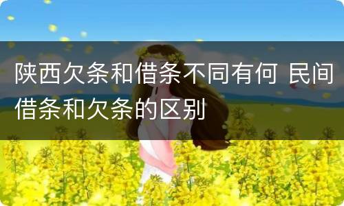 陕西欠条和借条不同有何 民间借条和欠条的区别