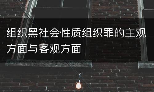 组织黑社会性质组织罪的主观方面与客观方面