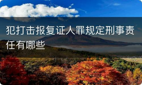 犯打击报复证人罪规定刑事责任有哪些