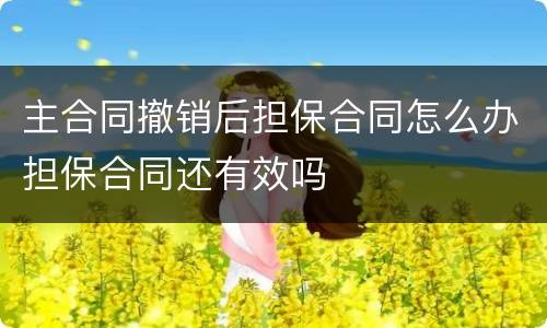 主合同撤销后担保合同怎么办担保合同还有效吗