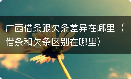 广西借条跟欠条差异在哪里（借条和欠条区别在哪里）