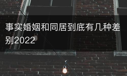 事实婚姻和同居到底有几种差别2022