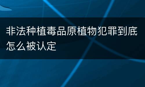非法种植毒品原植物犯罪到底怎么被认定