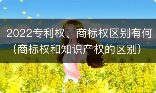 2022专利权、商标权区别有何（商标权和知识产权的区别）