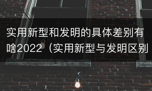 实用新型和发明的具体差别有啥2022（实用新型与发明区别）