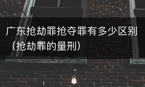 广东抢劫罪抢夺罪有多少区别（抢劫罪的量刑）