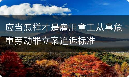 应当怎样才是雇用童工从事危重劳动罪立案追诉标准