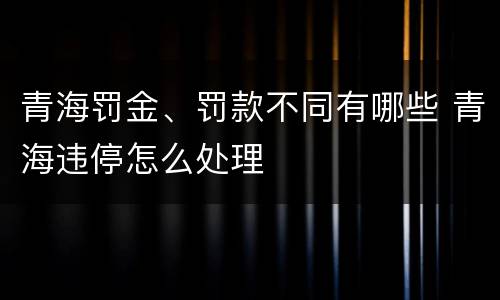 青海罚金、罚款不同有哪些 青海违停怎么处理