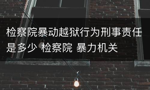 检察院暴动越狱行为刑事责任是多少 检察院 暴力机关