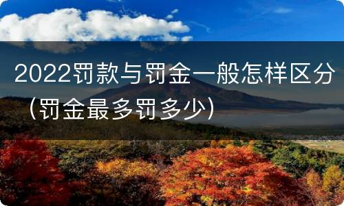 2022罚款与罚金一般怎样区分（罚金最多罚多少）