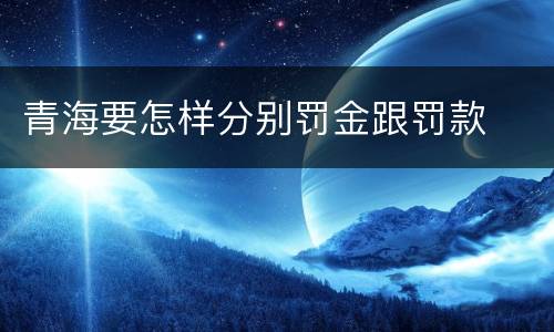 青海要怎样分别罚金跟罚款