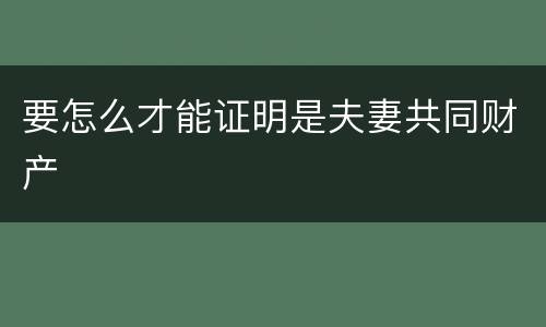 要怎么才能证明是夫妻共同财产