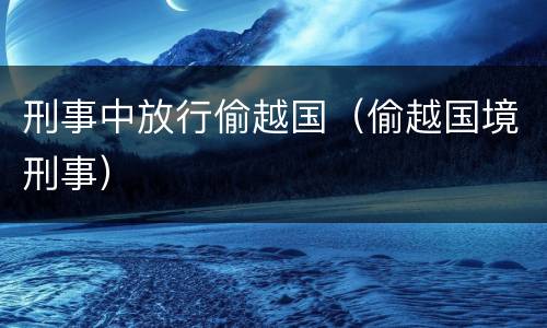 刑事中放行偷越国（偷越国境刑事）