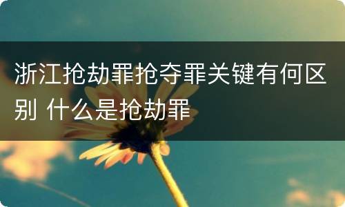浙江抢劫罪抢夺罪关键有何区别 什么是抢劫罪