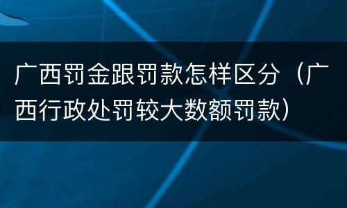 广西罚金跟罚款怎样区分（广西行政处罚较大数额罚款）