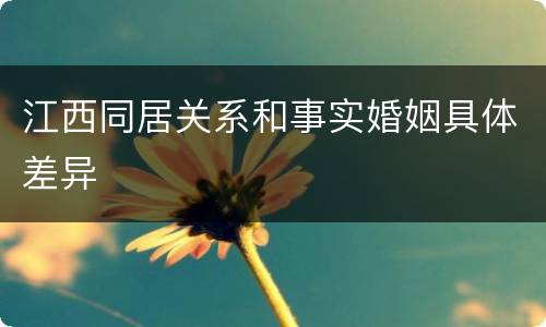 江西同居关系和事实婚姻具体差异