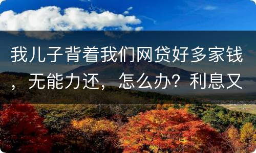 我儿子背着我们网贷好多家钱，无能力还，怎么办？利息又高