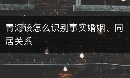 青海该怎么识别事实婚姻、同居关系