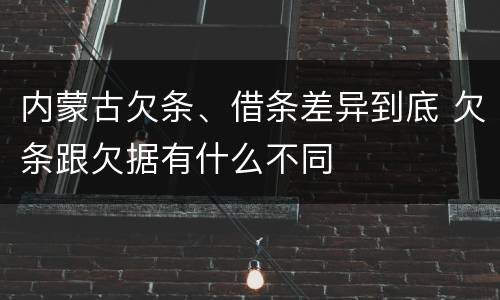 内蒙古欠条、借条差异到底 欠条跟欠据有什么不同