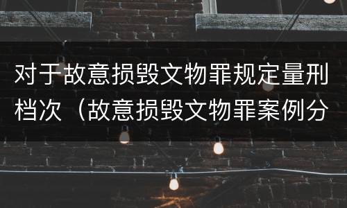 对于故意损毁文物罪规定量刑档次（故意损毁文物罪案例分析）