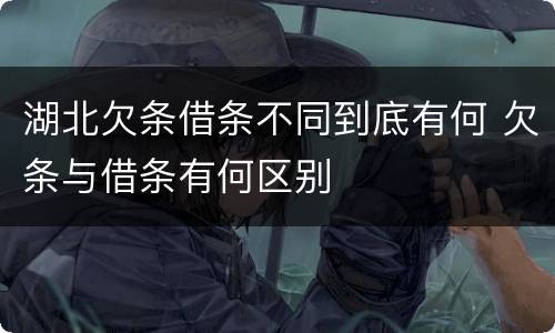 湖北欠条借条不同到底有何 欠条与借条有何区别