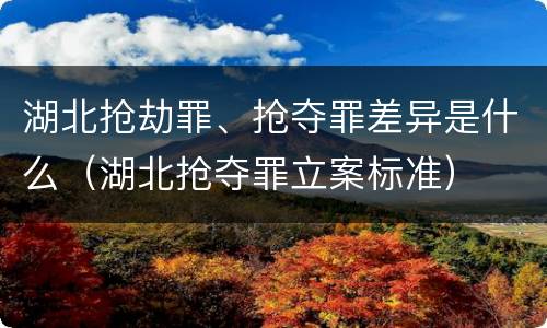 湖北抢劫罪、抢夺罪差异是什么（湖北抢夺罪立案标准）