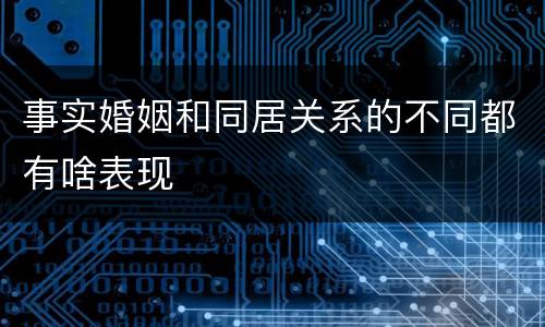 事实婚姻和同居关系的不同都有啥表现