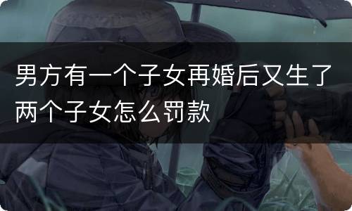 男方有一个子女再婚后又生了两个子女怎么罚款