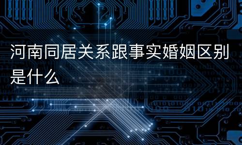 河南同居关系跟事实婚姻区别是什么