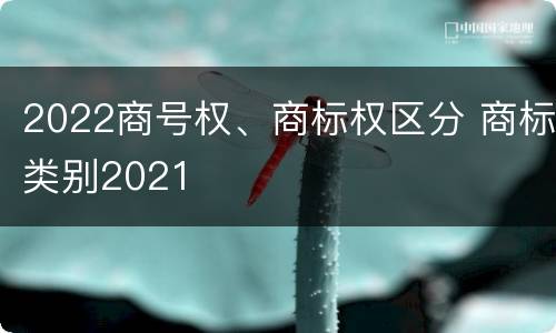 2022商号权、商标权区分 商标类别2021