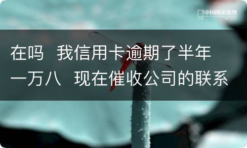 在吗  我信用卡逾期了半年  一万八  现在催收公司的联系到我  五天必须还钱