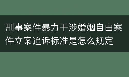 刑事案件暴力干涉婚姻自由案件立案追诉标准是怎么规定