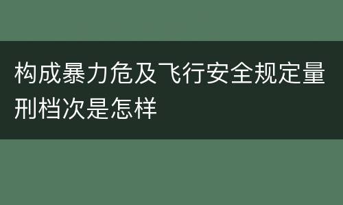 构成暴力危及飞行安全规定量刑档次是怎样