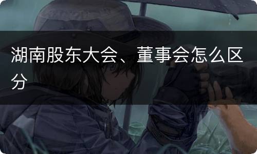 湖南股东大会、董事会怎么区分