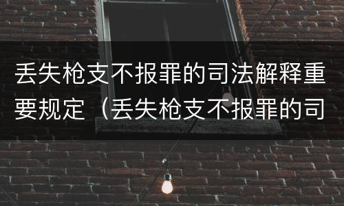 丢失枪支不报罪的司法解释重要规定（丢失枪支不报罪的司法解释重要规定）