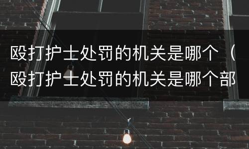 殴打护士处罚的机关是哪个（殴打护士处罚的机关是哪个部门管）