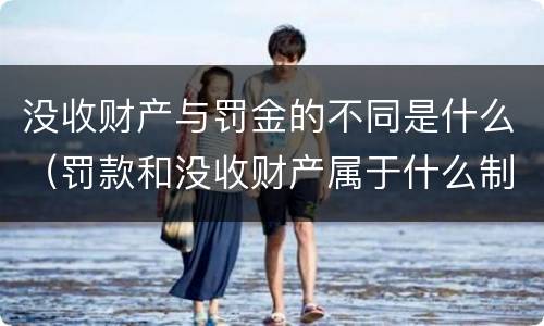 没收财产与罚金的不同是什么（罚款和没收财产属于什么制裁）