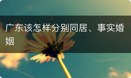 广东该怎样分别同居、事实婚姻