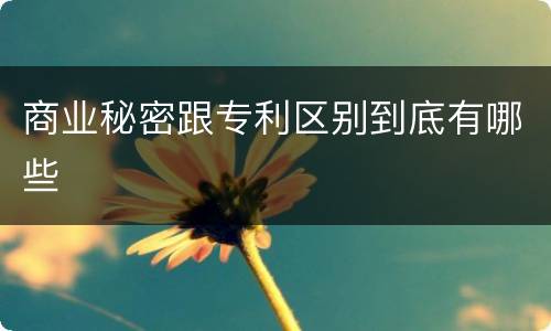 商业秘密跟专利区别到底有哪些